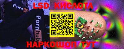 бошки Новодвинск