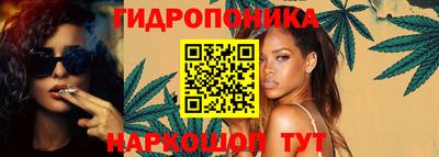 бошки Новодвинск