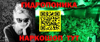 бошки Новодвинск