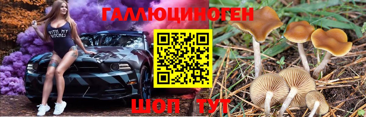 Псилоцибиновые грибы мицелий Бердск