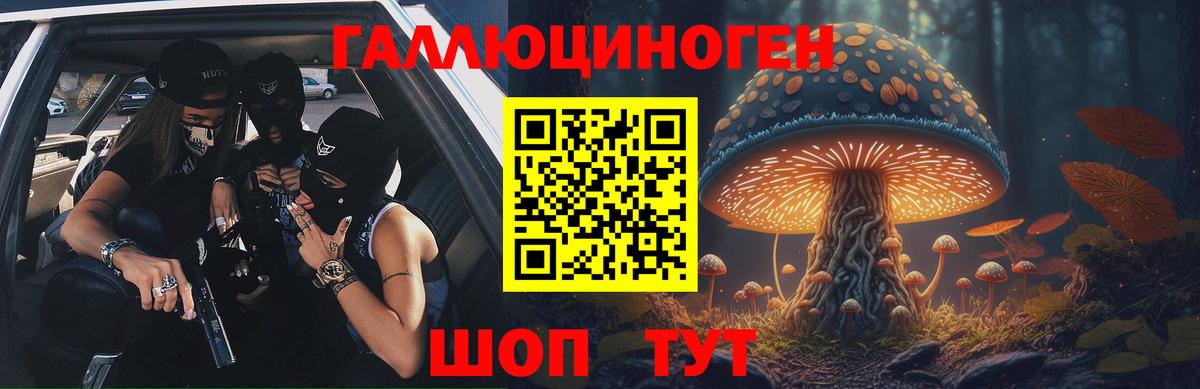 Псилоцибиновые грибы Psilocybine cubensis  Псилоцибиновые грибы GOLDEN TEACHER  Бердск  Вход с VPN 